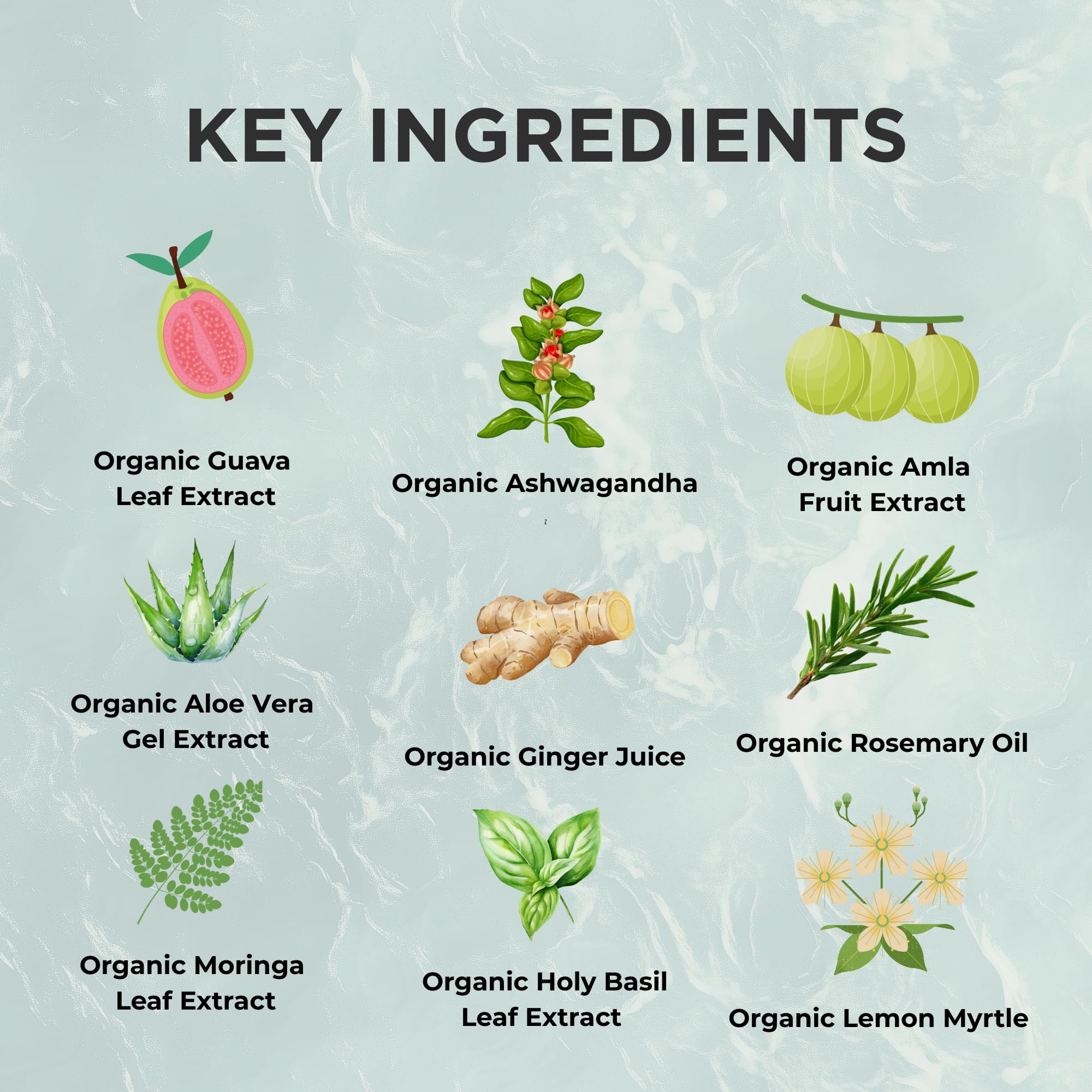 Zuma Nutrition Guava Leaf Zinc ingredients panel highlighting plant-based minerals and botanicals.