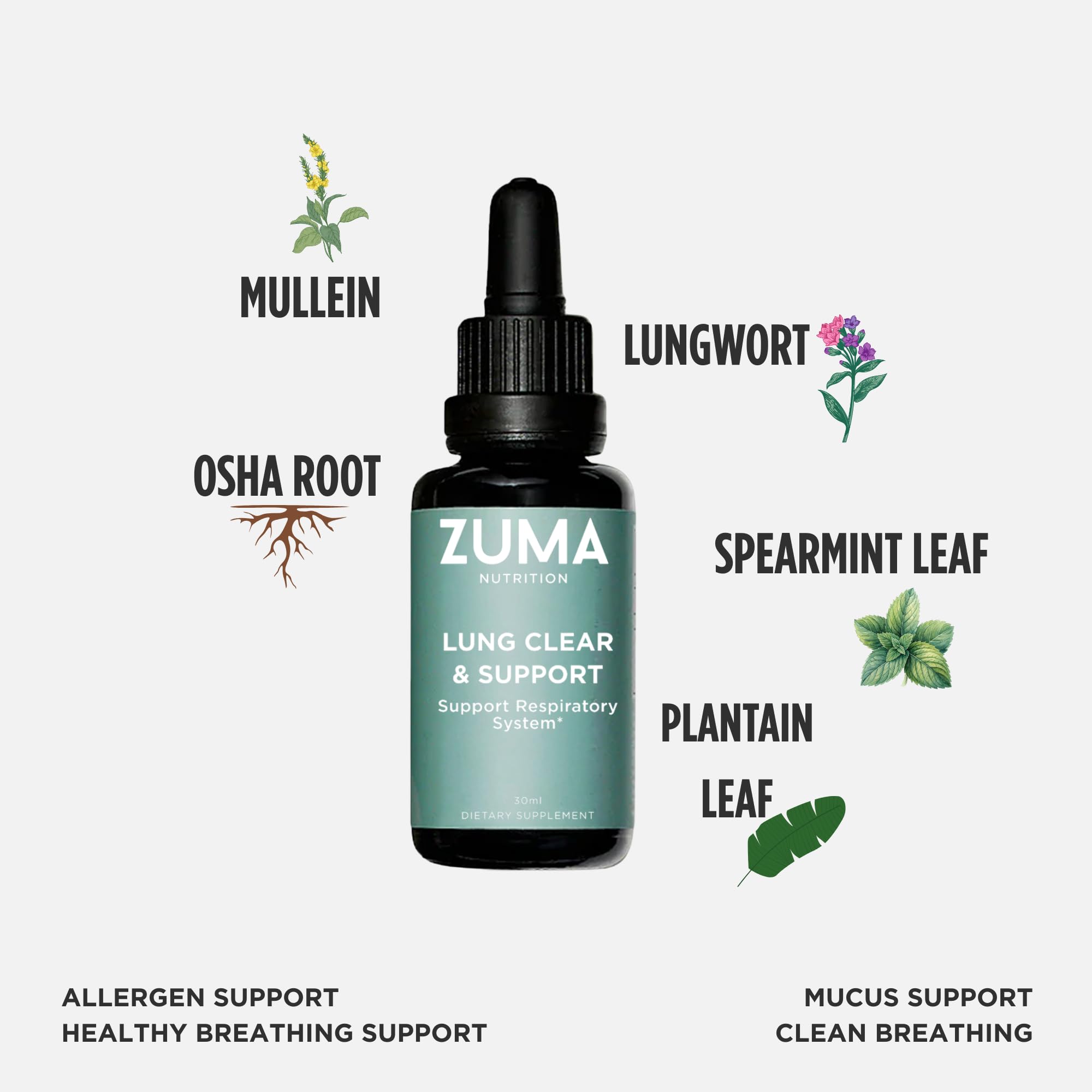 Mullein and osha root featured in Zuma Lung Support Tonic.