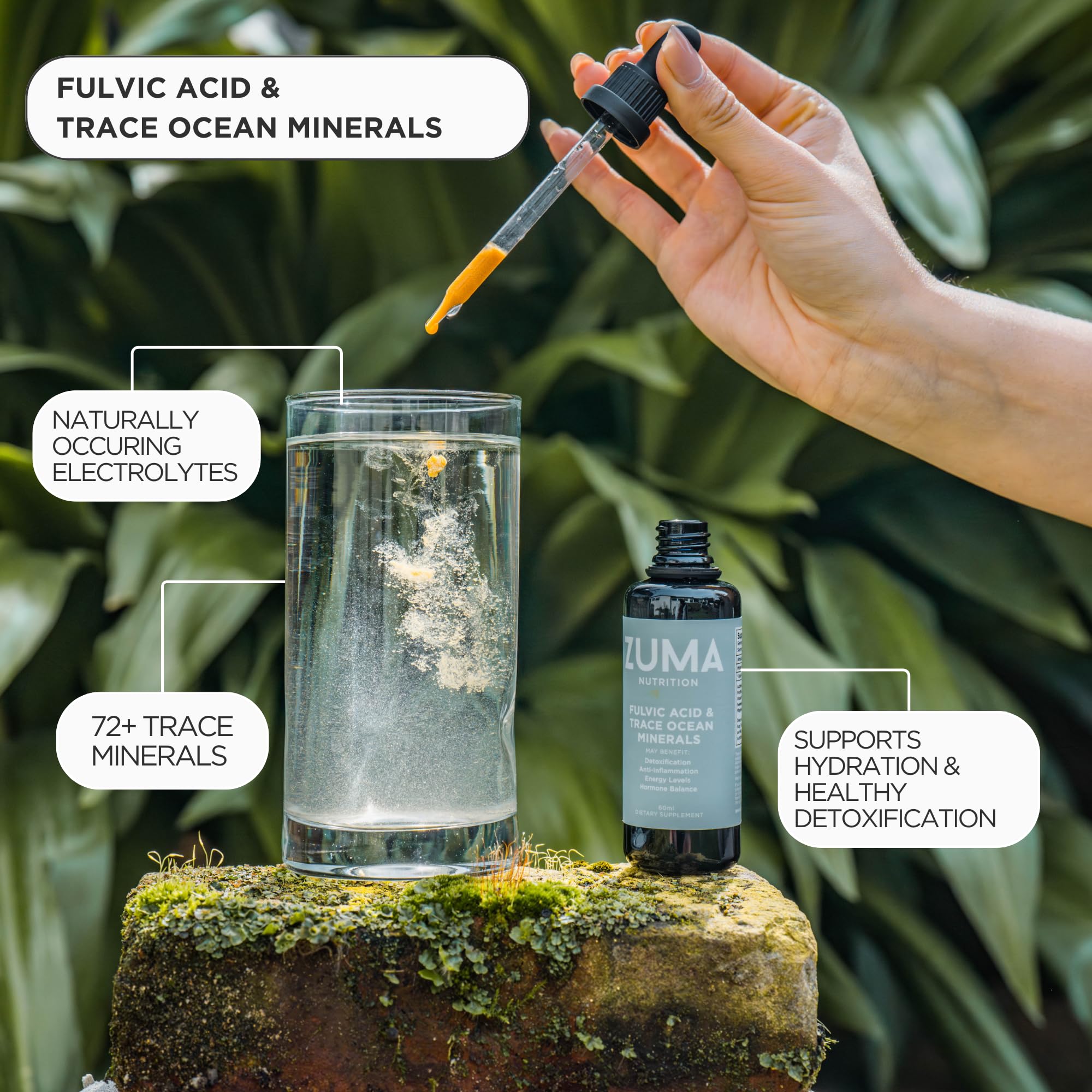 Zuma Nutrition recyclable glass packaging highlights clean, plant-forward formula.