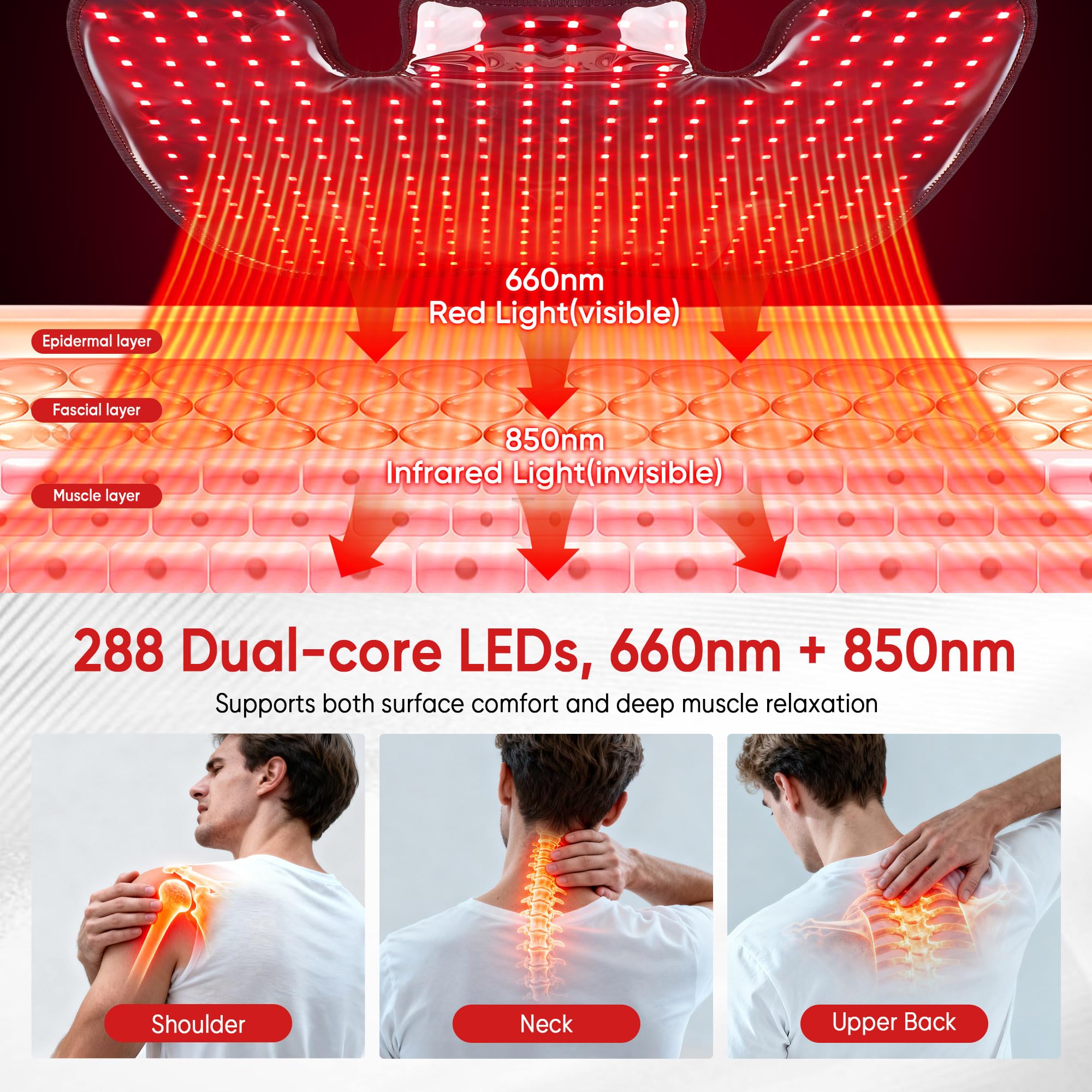 ZUOHE dual-wavelength 660nm and 850nm light penetrates deeply for relaxation.
