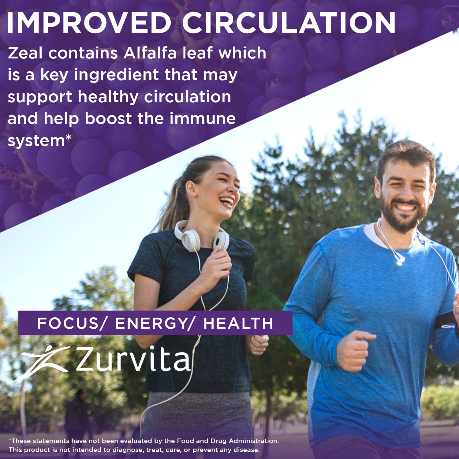 Zurvita Zeal for Life ingredient blend illustration highlights whole-food nutrients