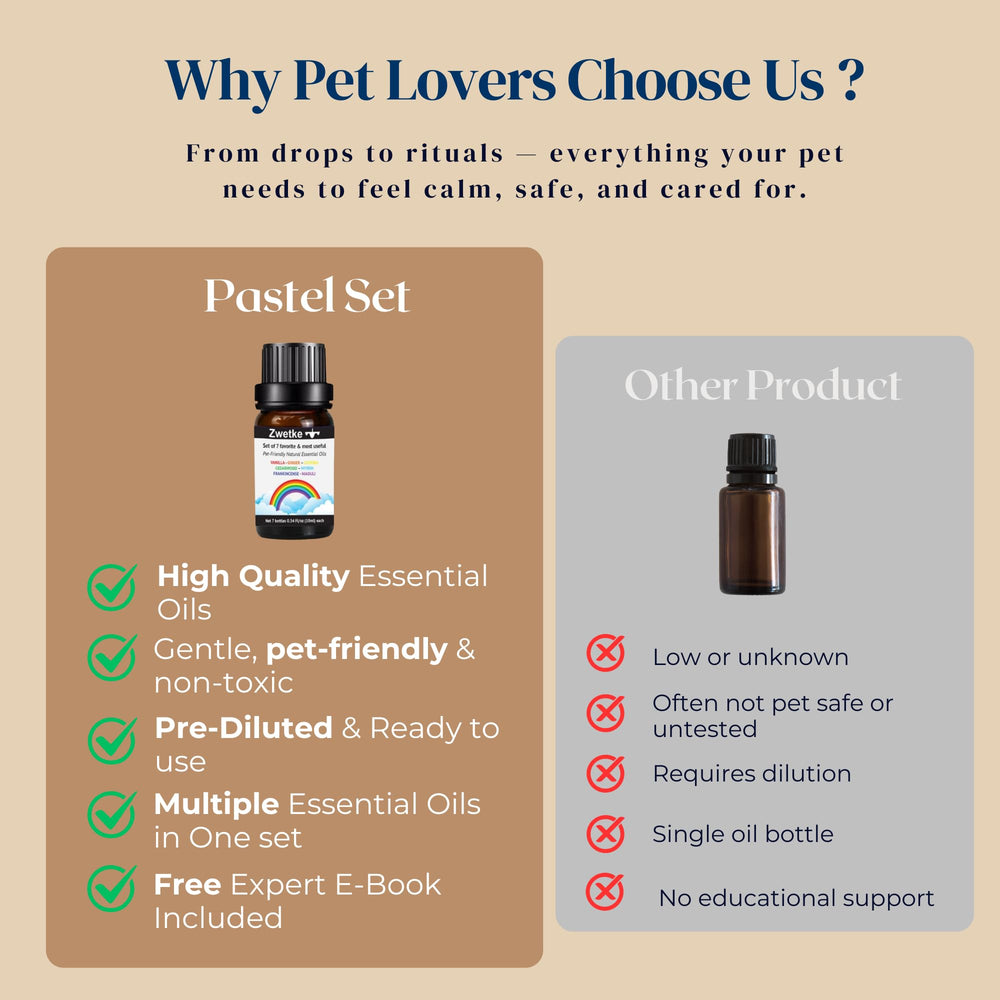 ZWETKE Cardamom oil for warm, subtle spice in rooms