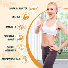 Zypherionixis prebiotics and ginger addition aids gut-friendly daily intake